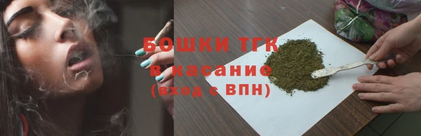 прущие грибы Алексеевка
