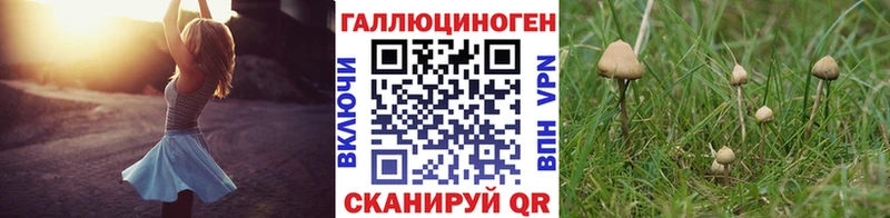 KRAKEN ССЫЛКА это клад Псилоцибиновые грибы Magic Shrooms Саранск